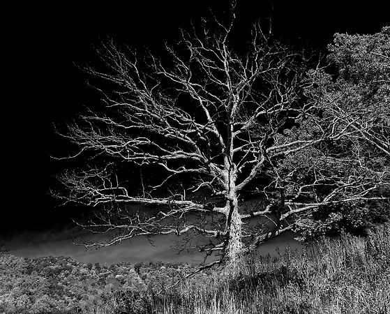 Standing Alone