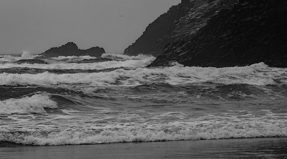 Oregon Coast