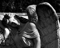 Hollywood Angel