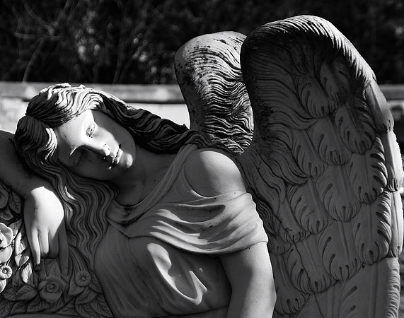 Hollywood Angel