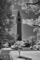 Carillon in IR