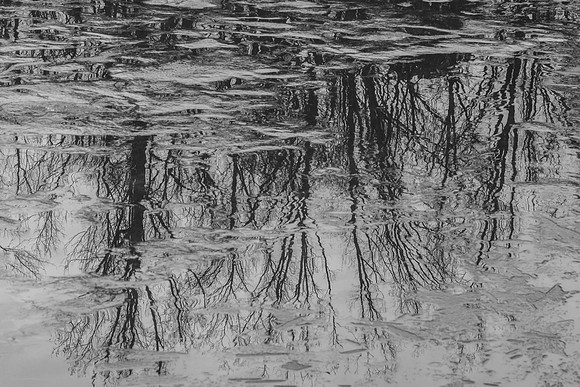 Winter's Reflections