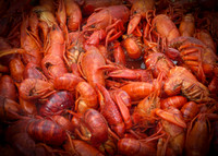 Crayfish Feast