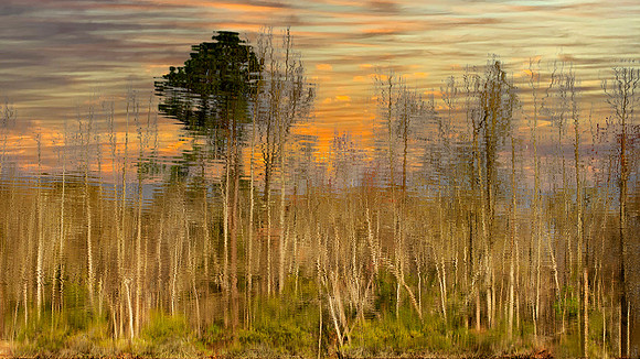 Reflections