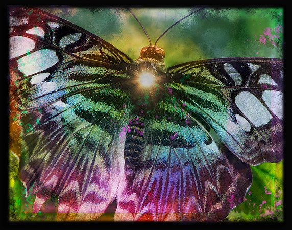 Spark of Life
