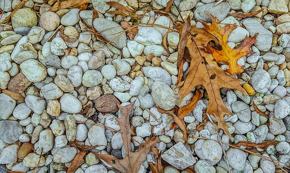 Rocks and Leaves