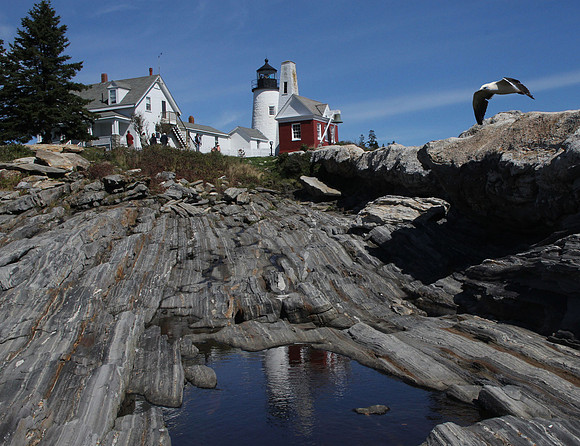 Lighthouse Reflections