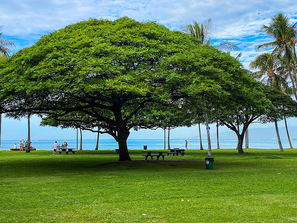 Oahu, HI