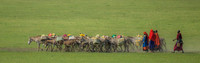 Maasai Nomads