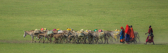 Maasai Nomads