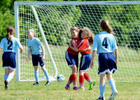Joy of Victory Agony of Defeat