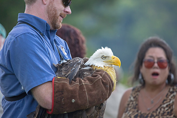 Eagle Release Sure Wowed Them
