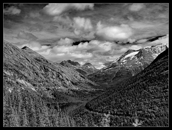The Alcan