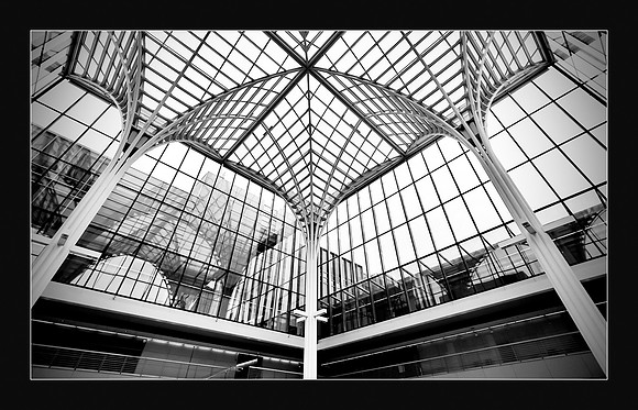 Inside Out - Polsky Center