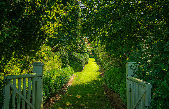 Welcome to the garden