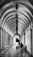 Architecture and Light