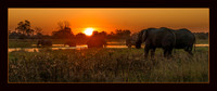 African Sunset