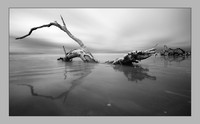 Boneyard