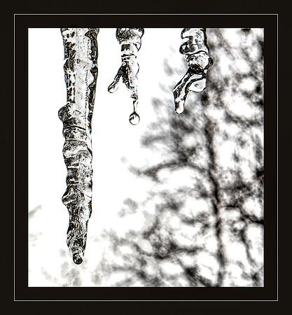 Winter Thaw