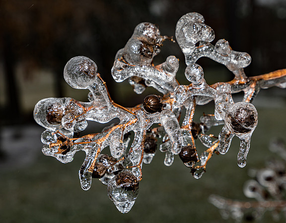 Ice Storm