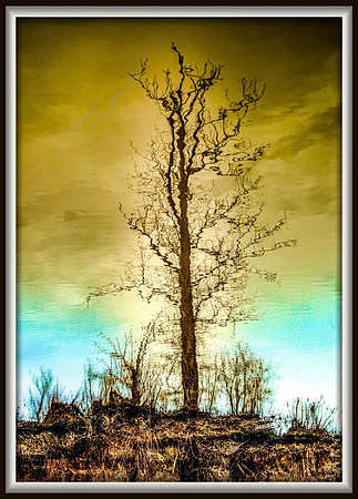 Imaginary Reality