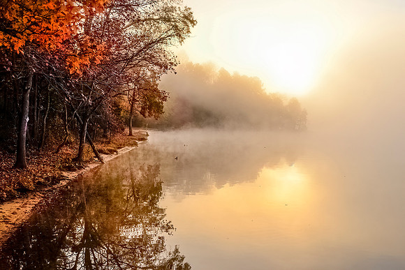 Morning Fog