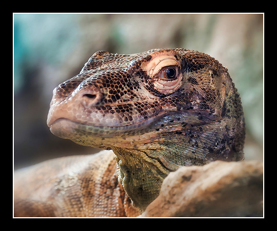 Here's Hiss in Your Eye