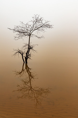 Flood and Fog