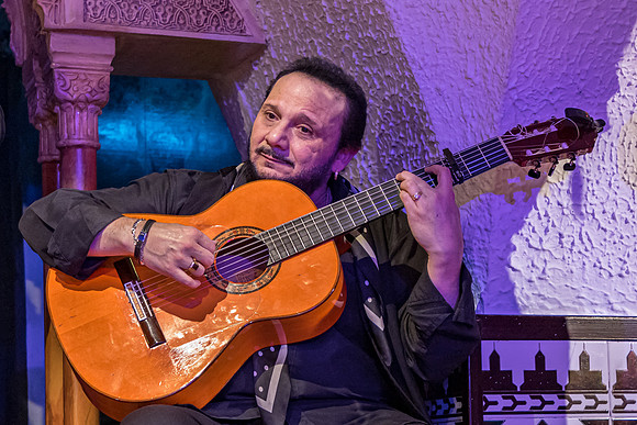 Flamenco Guitarist