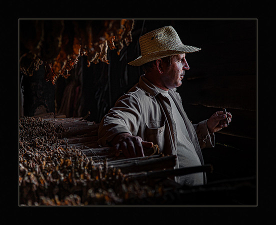 Cuban Tobacco Farmer