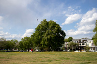 Kite