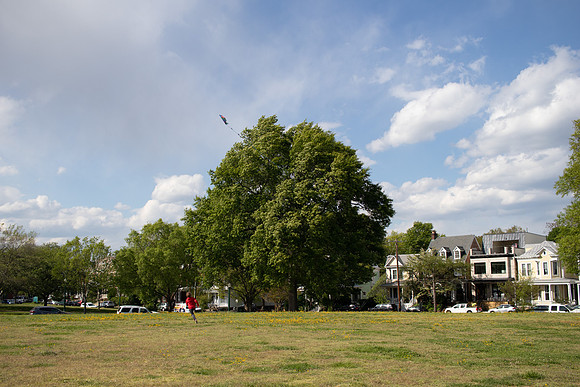 Kite