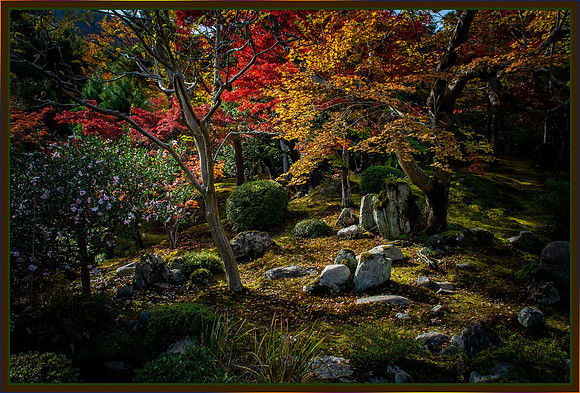 Kyoto Rock Garden