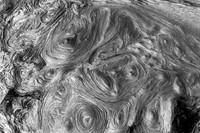 Faces-in-wood