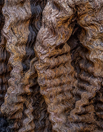 Wood Carving