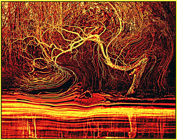 The Haunted Shore