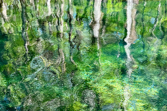 Green Dream