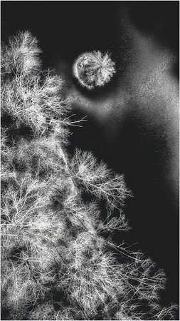 a cold winter