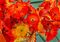 Chihuly Hanging Garden