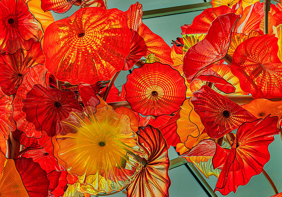 Chihuly Hanging Garden