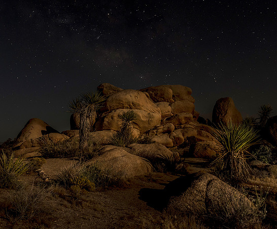 Nightfall in the Desert