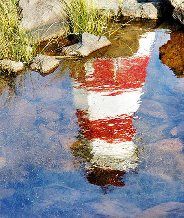 Reflect on the Light