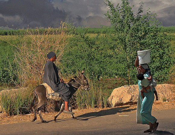 A Day in Egypt