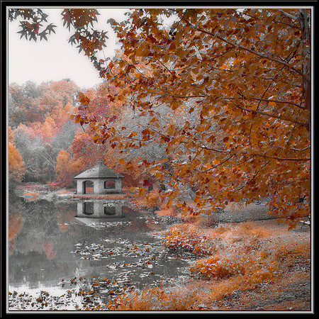 The Gazebo