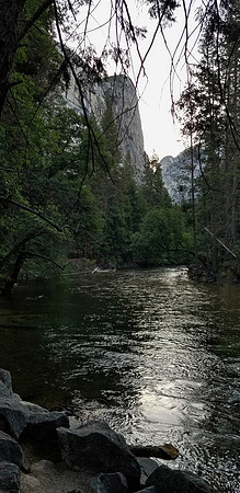 Morning Stroll, Yosemite