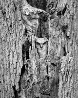 2018_10 - Evaluation