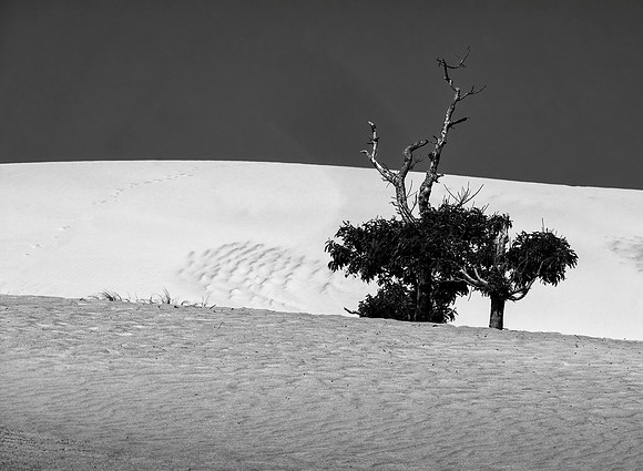 On Jockey Ridge