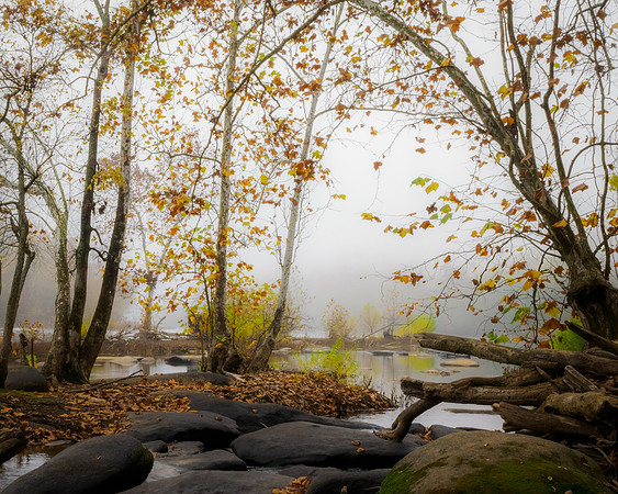 Foggy Morning on the James