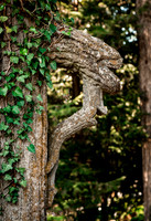 'P' On a Tree
