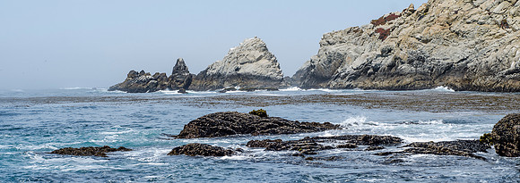 Point Lobos